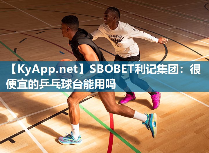 SBOBET利记集团：很便宜的乒乓球台能用吗