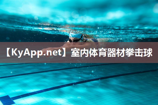 室内体育器材拳击球