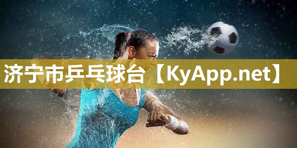 济宁市乒乓球台 济宁市乒乓球台