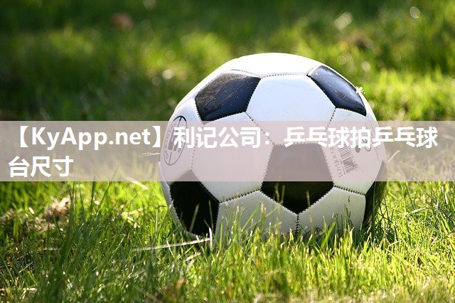 乒乓球拍乒乓球台尺寸 乒乓球拍乒乓球台尺寸