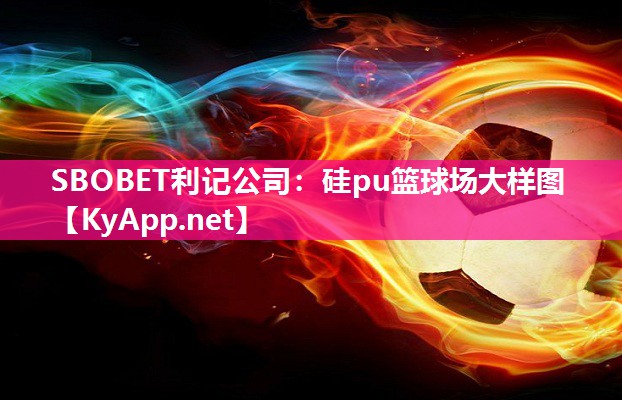 硅pu篮球场大样图 硅pu篮球场大样图