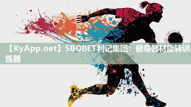 健身器材旋转训练器 健身器材旋转训练器