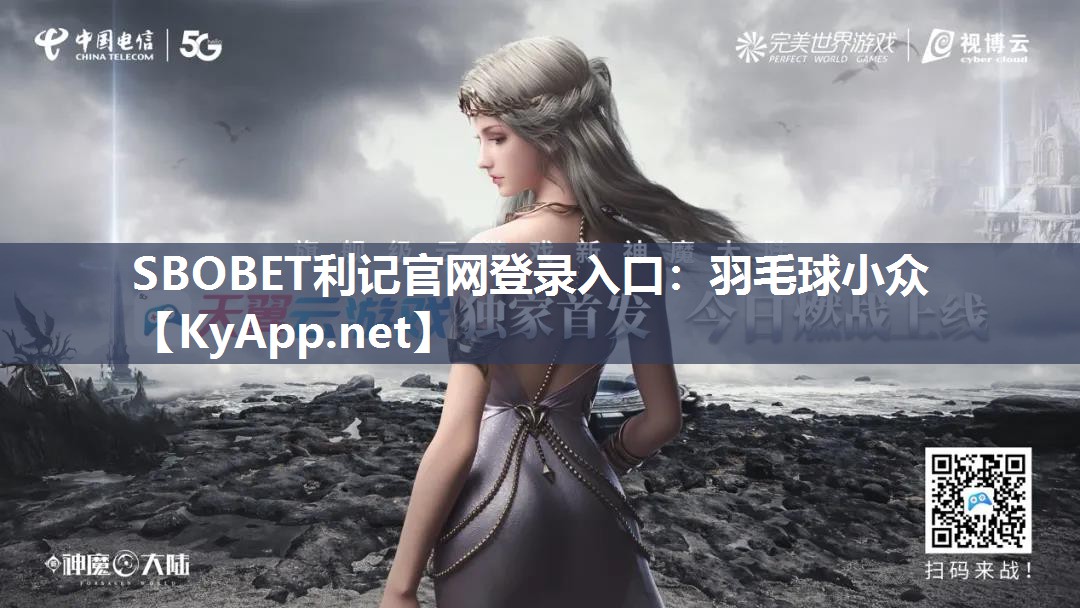 羽毛球小众 羽毛球小众