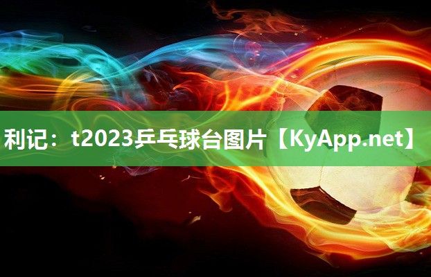 t2023乒乓球台图片 t2023乒乓球台图片