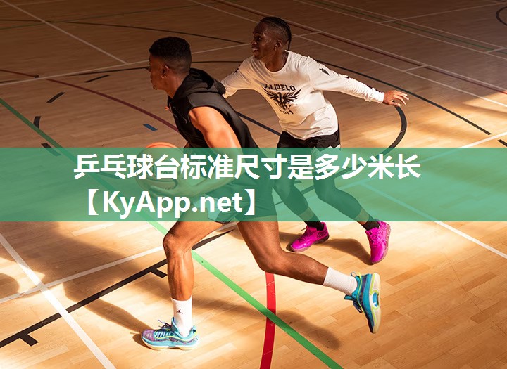 乒乓球台标准尺寸是多少米长 乒乓球台标准尺寸是多少米长