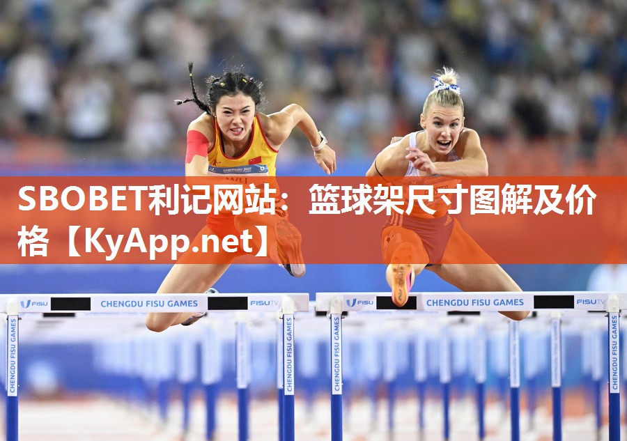 篮球架尺寸图解及价格 篮球架尺寸图解及价格