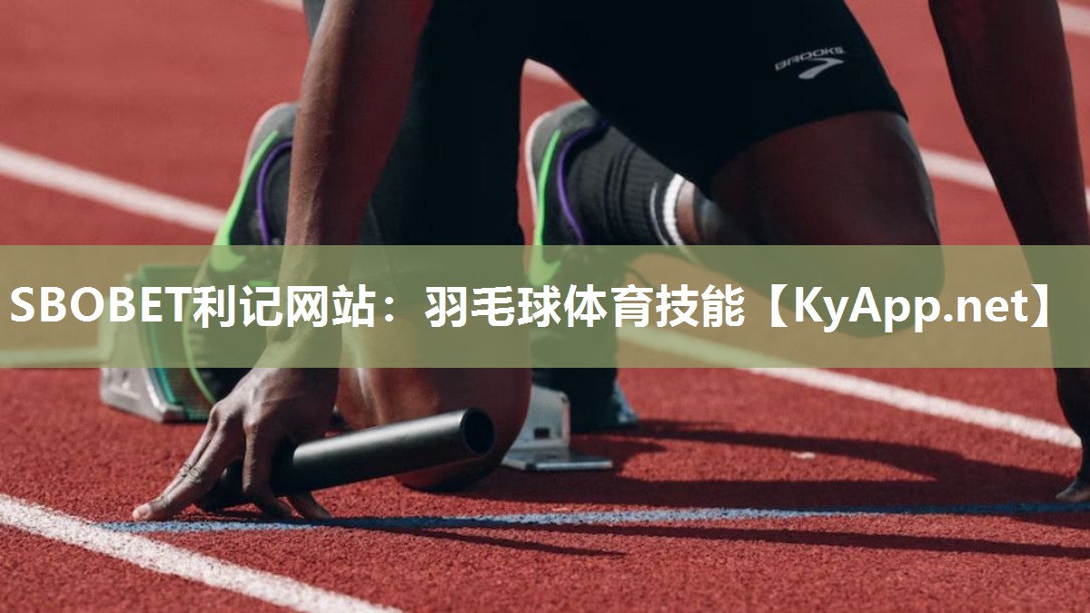 羽毛球体育技能 羽毛球体育技能