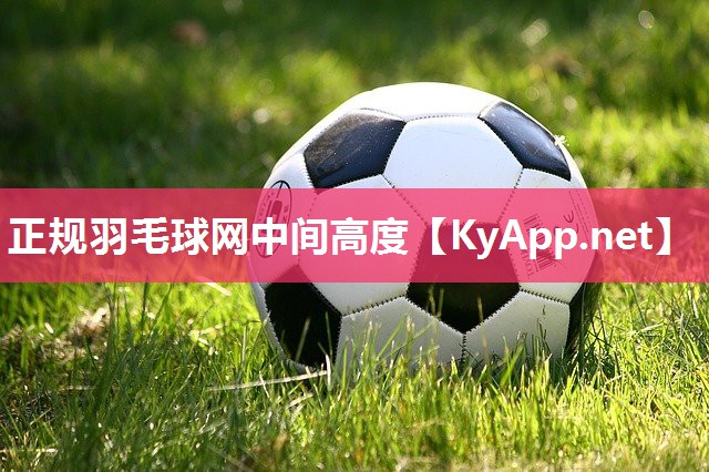 正规羽毛球网中间高度 正规羽毛球网中间高度